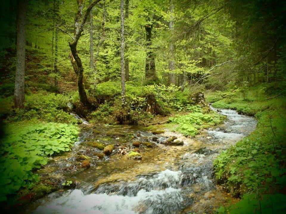 Der Tiroler 2* Achenkirch